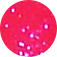 064