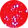 065