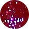 067