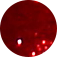 071