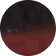 CC007