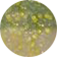 CC024